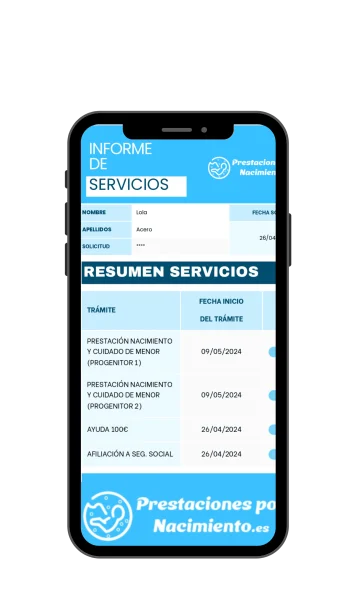 Resumen de servicios de Prestaciones por Nacimiento realizado online en 24 horas