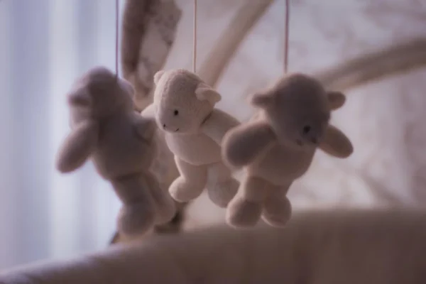 Casos especiales: adopción, acogimiento y sus trámites post-nacimiento